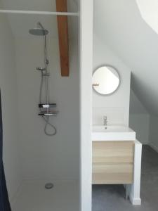a bathroom with a sink and a mirror at Gîte de Granit Noir in Besse-et-Saint-Anastaise