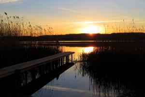 Naturlandschaft in der Nähe des Ferienparks