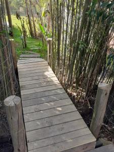 a wooden pathway in the middle of a bamboo forest at Pez Espada in Punta del Este