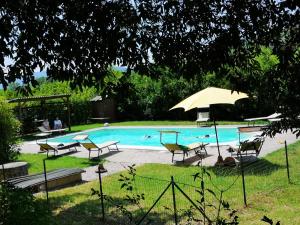 ein Schwimmbecken mit Stühlen und Sonnenschirmen daneben in der Unterkunft Podere Ripabianca in Riparbella