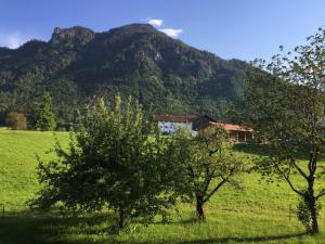 una casa en un campo frente a una montaña en Ferienwohnung an der Wolfsgrube, en Unterflintsbach