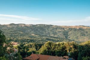 Przyroda w pobliżu tego obiektu B&B