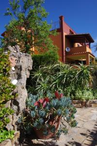 a garden in front of a house with flowers at Iocchedda in Porto Ottiolu