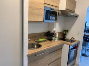 a small kitchen with a sink and a microwave at Studio Bord De Mer in Santa-Lucia-di-Moriani
