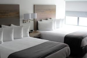 Habitación de hotel con 2 camas y ventana en Best Western Plus Executive Residency Waterloo & Cedar Falls en Waterloo