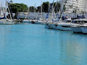 eine Gruppe von Booten, die in einem Hafen angedockt sind in der Unterkunft STUDIO MARINA BAIE DES ANGES in Villeneuve-Loubet