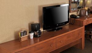 TV a/nebo společenská místnost v ubytování Boarders Inn & Suites by Cobblestone Hotels in Waukon