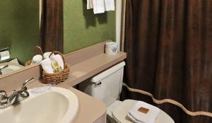 Koupelna v ubytování Boarders Inn & Suites by Cobblestone Hotels in Waukon