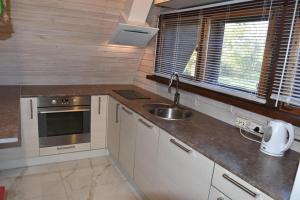 Kuchyň nebo kuchyňský kout v ubytování ´RIVER LOUNGE´