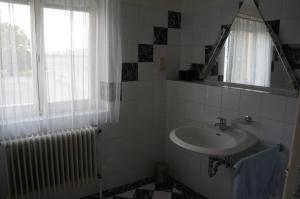 uma casa de banho com um lavatório, um espelho e um radiador em Ferienwohnung Donauauen em Orth an der Donau