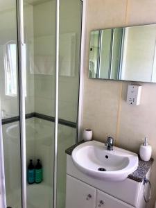 a bathroom with a sink and a shower at Croft No 6 in Orbost