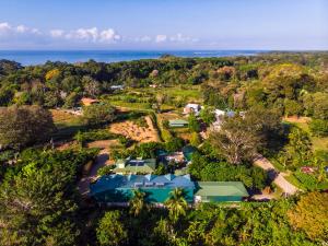 Gallery image of Hotel Cabinas el Tecal in Uvita +164 photos