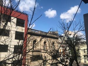 Gambar di galeri bagi Palermo Queens Apartment di Buenos Aires