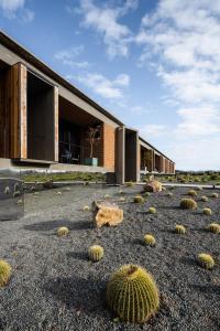 un bâtiment avec des cactus en face dans l'établissement Santulan, à Valle de Guadalupe