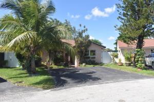 una palmera frente a una casa en Miami nice en Miami