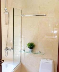 A bathroom at Flora Ski-slope Studio Apartment
