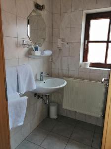 a bathroom with a sink and a mirror at Hotel Wilder Mann in Feuchtwangen