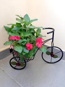 una pianta in un piantatore di biciclette con fiori rossi di Hillside Apartment Tsaghkadzor a Tsaghkadzor