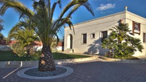 a palm tree in front of a building at Rifugio Delle Grotte in Castellana Grotte +38 photos