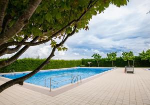 a large swimming pool next to a tree at Cal Conxé in El Vilosell