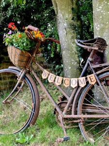 an old bike with a basket filled with flowers at Old Hall Country Breaks in Tilney All Saints