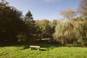 a bench sitting in the grass in a field at Chycara in Truro