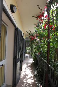 Zahrada ubytování Hotel Villa Wanda
