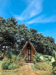 a small house in a field with trees at SEE-KEE-HOR Cafe and Hostel in Siquijor