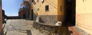 Mynd úr myndasafni af Hannette Cinqueterre Apt Libeccio í Manarola