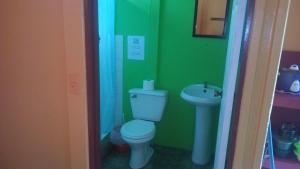 a green bathroom with a toilet and a sink at Hotel One Love Puerto Viejo in Puerto Viejo