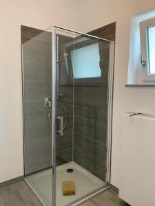 eine Dusche mit einer Glastür in einem Badezimmer in der Unterkunft H&E Apartments Barntrup in Barntrup