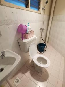 a bathroom with a toilet and a sink at Pangkor Coral Bay Homestay 315 in Pangkor