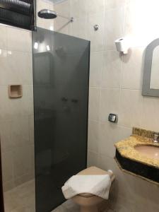 uma casa de banho com um chuveiro, um WC e um lavatório. em Paissandú Palace Hotel - Próximo às ruas 25 de Março, Sta Ifigênia e regiões do Brás e Bom Retiro em São Paulo