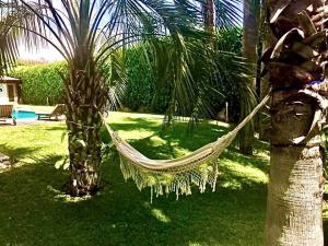 a hammock hanging from a palm tree in a yard at Ara Town House in San Giovanni la Punta