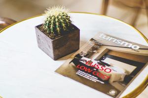 Fotografie z fotogalerie ubytování Hotel Venini v Miláně