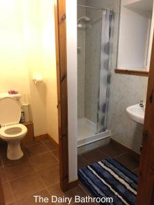 a bathroom with a toilet and a shower at Barfad Self Catering Holiday Cottages in Tarbert
