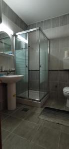 y baño con ducha, lavabo y aseo. en Ivy Apartment, en Vrnjačka Banja