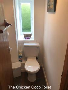 a bathroom with a white toilet and a window at Barfad Self Catering Holiday Cottages in Tarbert