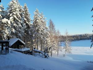 Zdjęcie z galerii obiektu Chalet Ahma w mieście Jurmu