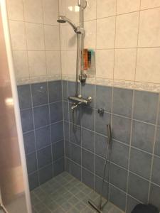 a bathroom with a shower with blue tiles at Chalet Ahma in Jurmu +42 photos
