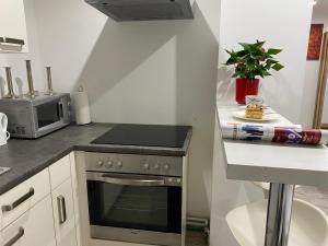 Küche/Küchenzeile in der Unterkunft Ossiach Apartment 1