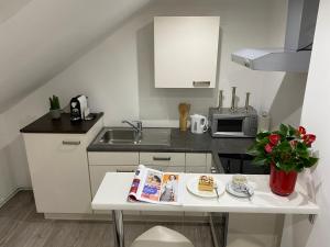 Küche/Küchenzeile in der Unterkunft Ossiach Apartment 1