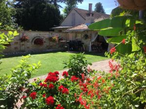 un jardín con flores rojas frente a una casa en Jarmila Vendégház, en Balatonberény