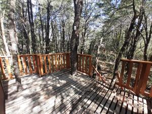 Photo de la galerie de l'établissement Domos Entre Bosques, à Malalcahuello