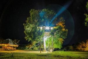 una casa con una luz en un árbol por la noche en Yala Dream Park, en Yala