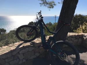 a bike parked next to a tree next to the ocean at Bike&Boat Argentario Hotel in Porto Santo Stefano