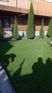 Jardín al aire libre en Casa Borgo