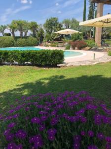 a garden with purple flowers in front of a pool at agriturismo" il glicine bianco" in Monzambano