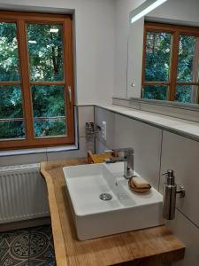 Ванна кімната в Ferienwohnung Kunst und Kulturschuppen Hasenmühle