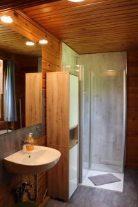 a bathroom with a shower and a sink and a shower stall at Holzhaus am Silbersee in Frielendorf